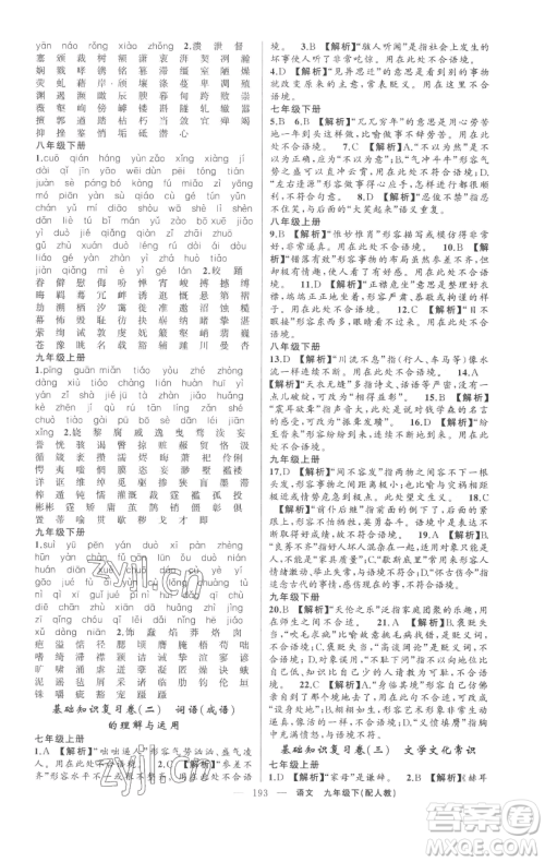 新疆青少年出版社2023四清导航九年级下册语文人教版参考答案