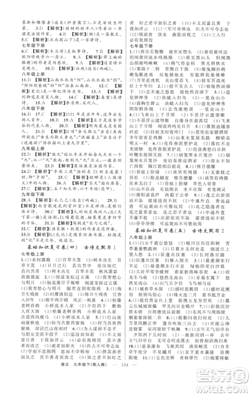 新疆青少年出版社2023四清导航九年级下册语文人教版参考答案