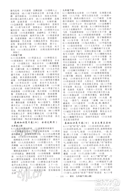 新疆青少年出版社2023四清导航九年级下册语文人教版参考答案