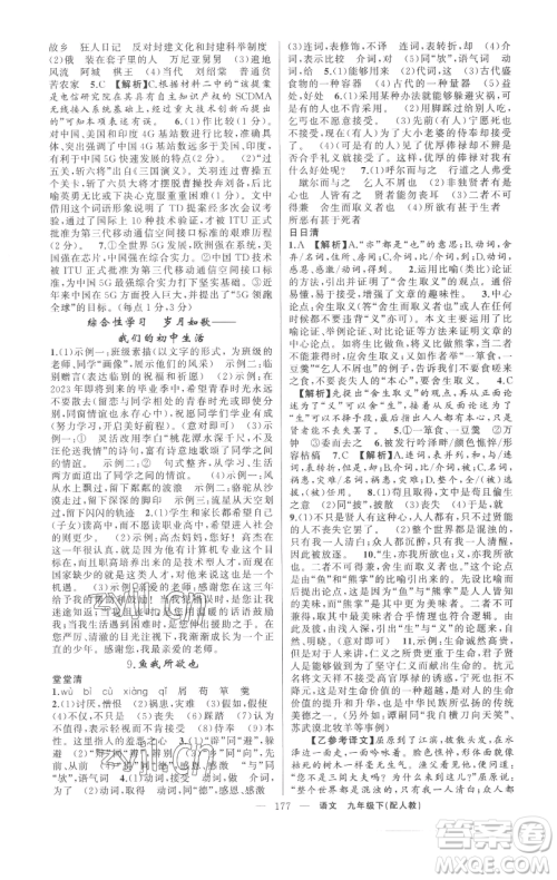 新疆青少年出版社2023四清导航九年级下册语文人教版参考答案
