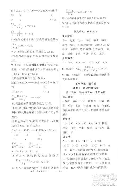 新疆青少年出版社2023四清导航九年级下册化学人教版河南专版参考答案