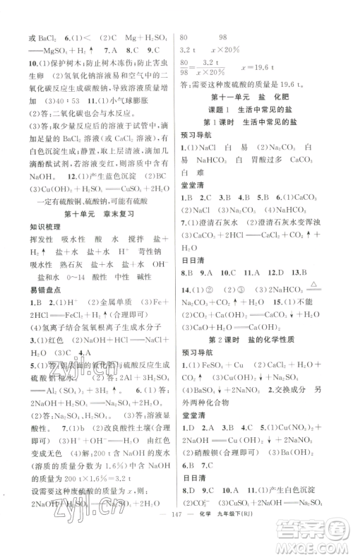 新疆青少年出版社2023四清导航九年级下册化学人教版河南专版参考答案