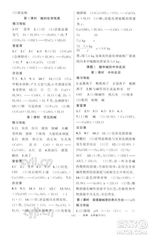 新疆青少年出版社2023四清导航九年级下册化学人教版河南专版参考答案