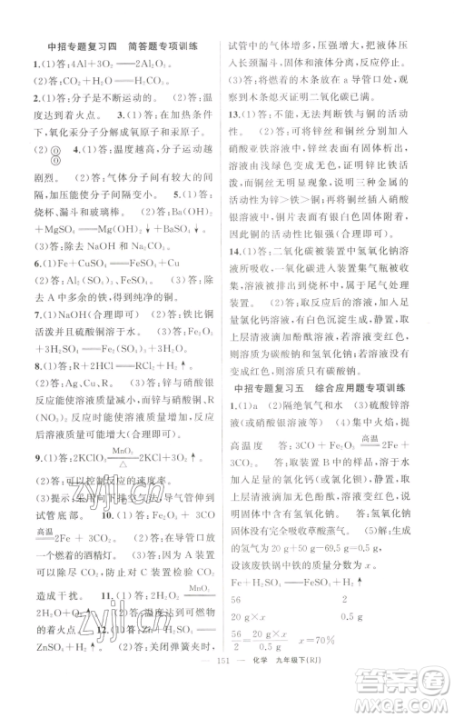 新疆青少年出版社2023四清导航九年级下册化学人教版河南专版参考答案