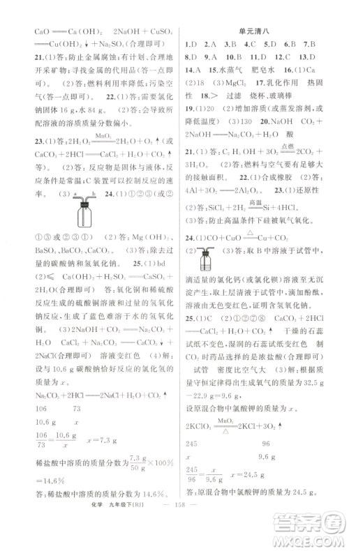新疆青少年出版社2023四清导航九年级下册化学人教版河南专版参考答案