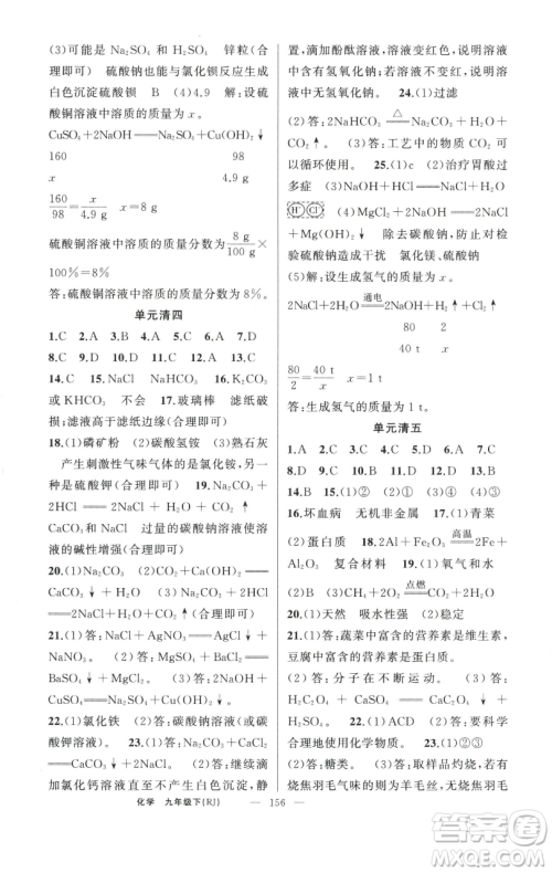 新疆青少年出版社2023四清导航九年级下册化学人教版河南专版参考答案