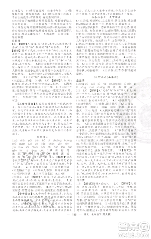 新疆青少年出版社2023四清导航七年级下册语文人教版参考答案