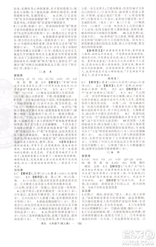 新疆青少年出版社2023四清导航七年级下册语文人教版参考答案