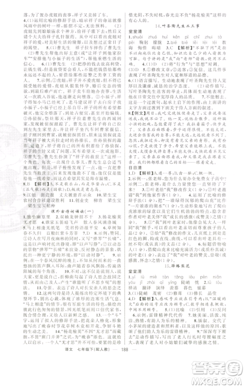 新疆青少年出版社2023四清导航七年级下册语文人教版参考答案