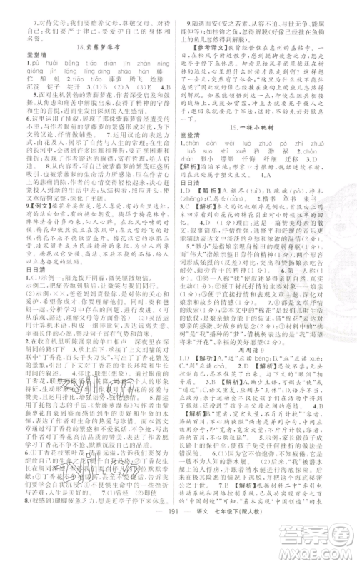 新疆青少年出版社2023四清导航七年级下册语文人教版参考答案