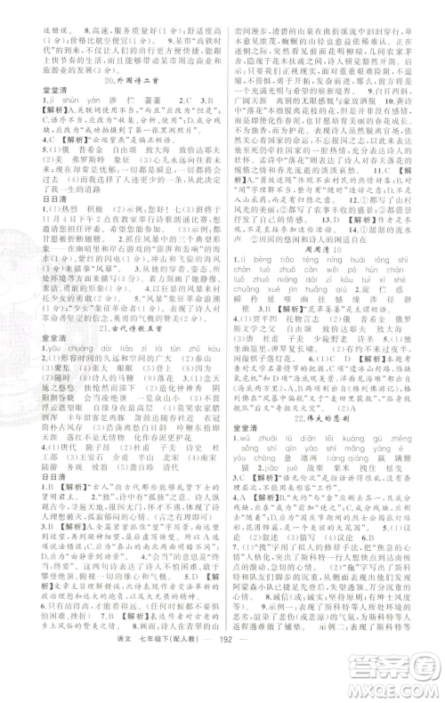 新疆青少年出版社2023四清导航七年级下册语文人教版参考答案