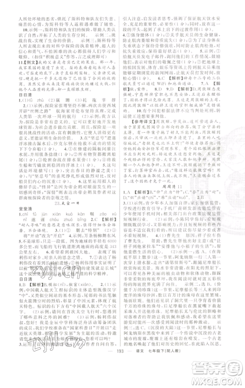 新疆青少年出版社2023四清导航七年级下册语文人教版参考答案