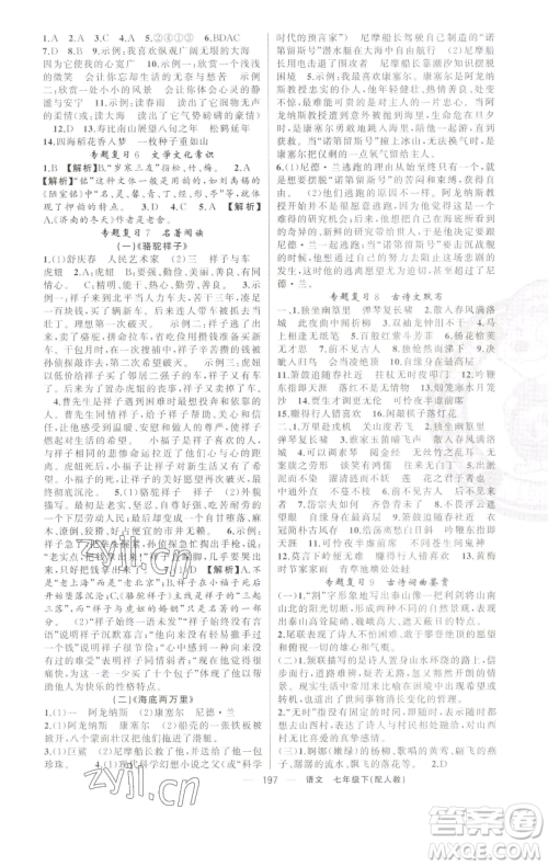 新疆青少年出版社2023四清导航七年级下册语文人教版参考答案