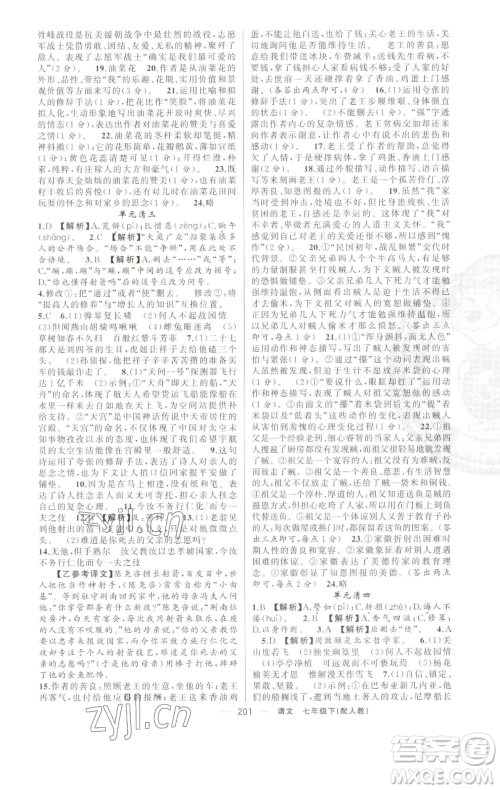 新疆青少年出版社2023四清导航七年级下册语文人教版参考答案