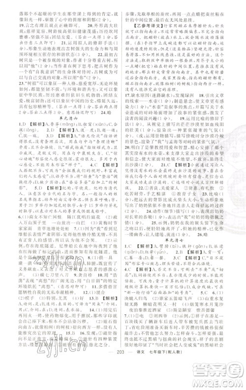 新疆青少年出版社2023四清导航七年级下册语文人教版参考答案