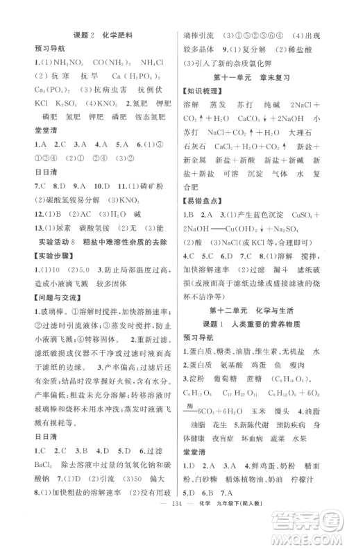新疆青少年出版社2023四清导航九年级下册化学人教版参考答案