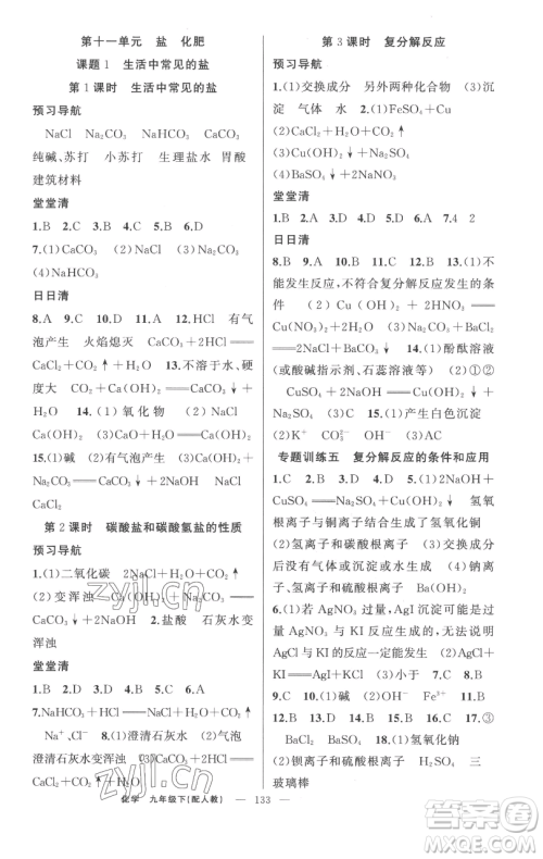 新疆青少年出版社2023四清导航九年级下册化学人教版参考答案