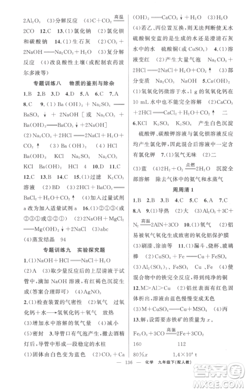 新疆青少年出版社2023四清导航九年级下册化学人教版参考答案