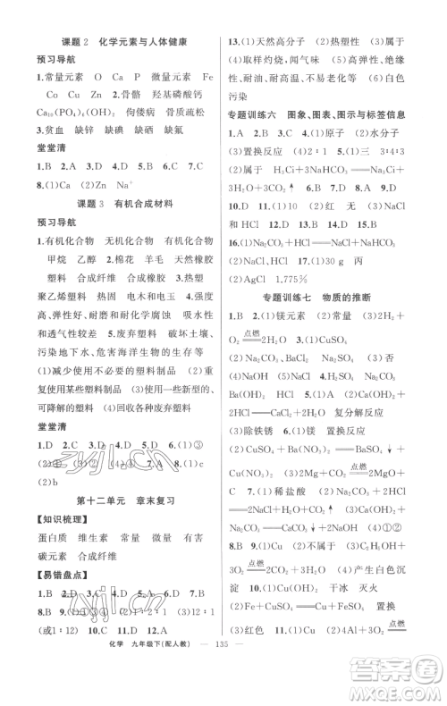 新疆青少年出版社2023四清导航九年级下册化学人教版参考答案