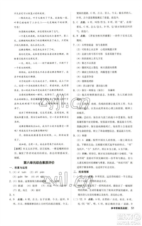 陕西人民教育出版社2023综合应用创新题典中点八年级语文下册人教版参考答案 陕西人民教育出版社2023综合应用创新题典中点八年级语文下册人教版参考答案