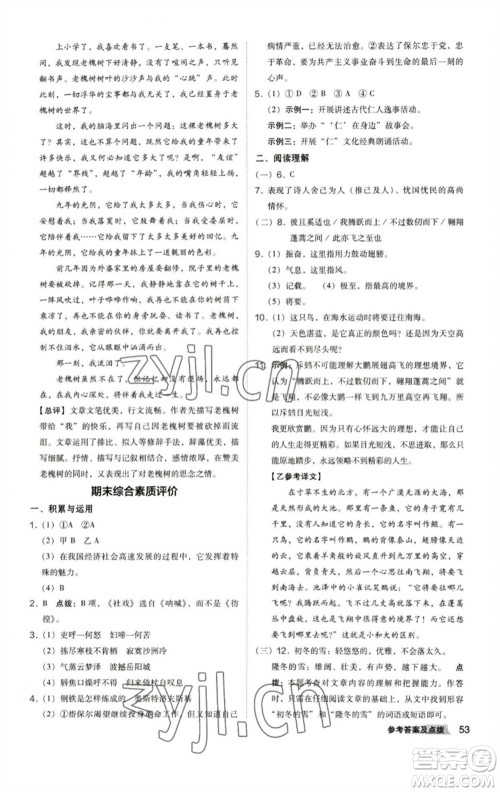 陕西人民教育出版社2023综合应用创新题典中点八年级语文下册人教版参考答案