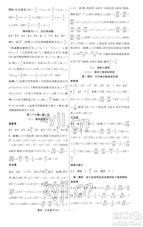新疆青少年出版社2023四清导航九年级下册数学人教版河南专版参考答案