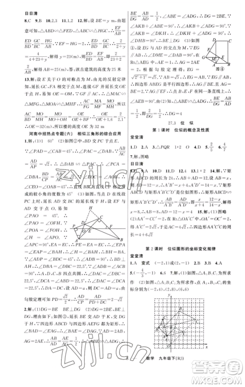 新疆青少年出版社2023四清导航九年级下册数学人教版河南专版参考答案