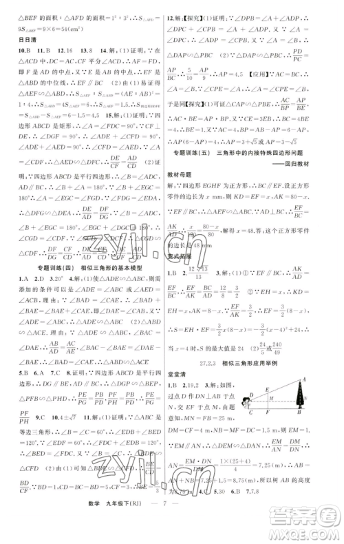 新疆青少年出版社2023四清导航九年级下册数学人教版河南专版参考答案 新疆青少年出版社2023四清导航九年级下册数学人教版河南专版参考答案