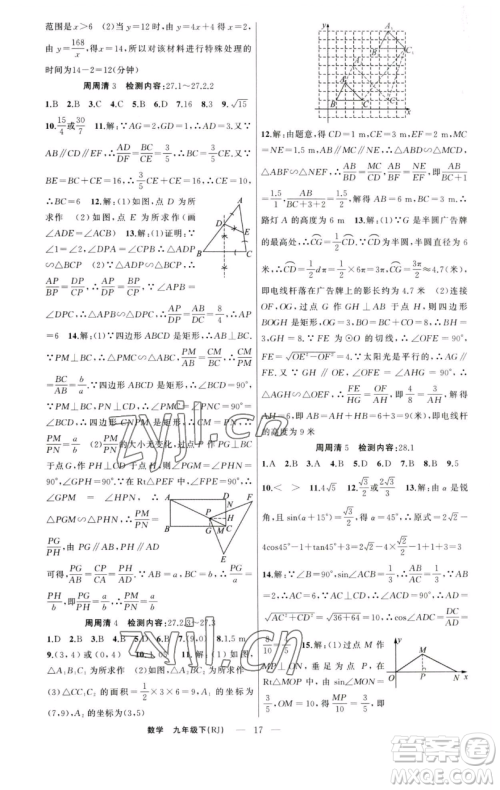 新疆青少年出版社2023四清导航九年级下册数学人教版河南专版参考答案