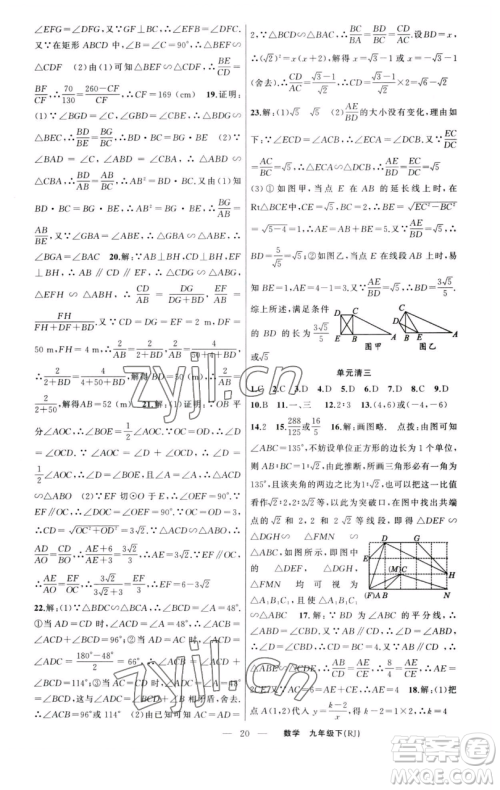 新疆青少年出版社2023四清导航九年级下册数学人教版河南专版参考答案
