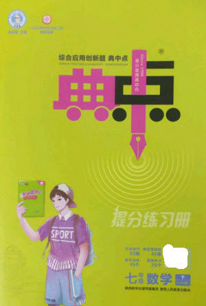 陕西人民教育出版社2023综合应用创新题典中点七年级数学下册华师大版参考答案