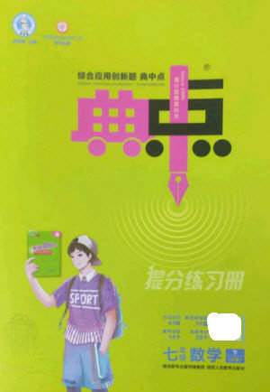 陕西人民教育出版社2023综合应用创新题典中点七年级数学下册人教版参考答案