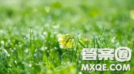 独自前行主题作文600字 关于独自前行的主题作文600字