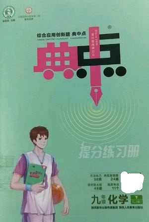 陕西人民教育出版社2023综合应用创新题典中点九年级化学下册鲁教版参考答案 陕西人民教育出版社2023综合应用创新题典中点九年级化学下册鲁教版参考答案
