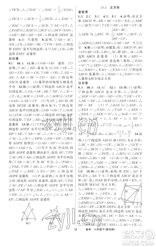 新疆青少年出版社2023四清导航八年级下册数学华师大版参考答案 新疆青少年出版社2023四清导航八年级下册数学华师大版参考答案