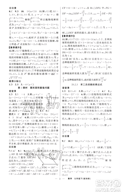 新疆青少年出版社2023四清导航九年级下册数学华师大版参考答案