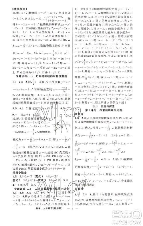 新疆青少年出版社2023四清导航九年级下册数学华师大版参考答案