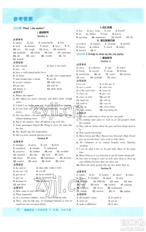 吉林教育出版社2023综合应用创新题典中点八年级英语下册人教版河南专版参考答案