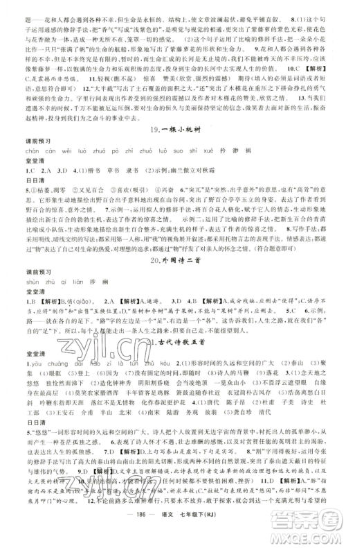 新疆青少年出版社2023四清导航七年级下册语文人教版黄石专版参考答案 新疆青少年出版社2023四清导航七年级下册语文人教版黄石专版参考答案