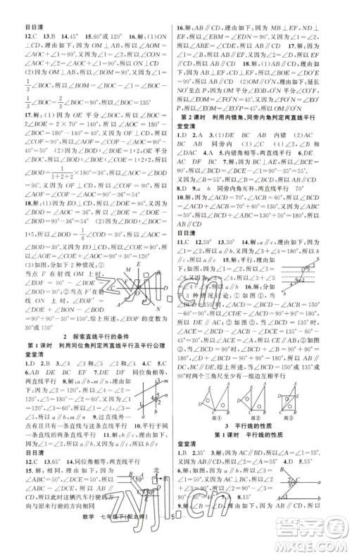 新疆青少年出版社2023四清导航七年级下册数学北师大版参考答案