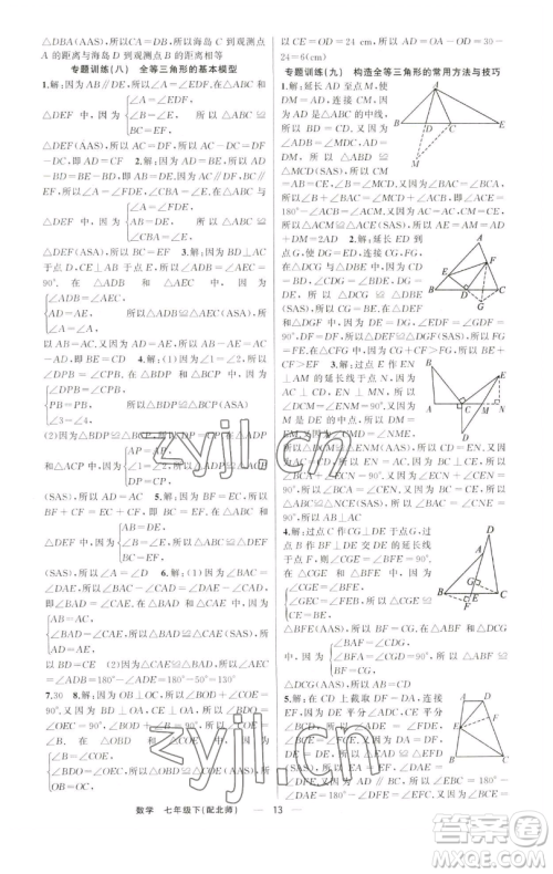 新疆青少年出版社2023四清导航七年级下册数学北师大版参考答案 新疆青少年出版社2023四清导航七年级下册数学北师大版参考答案