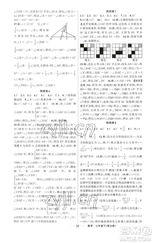 新疆青少年出版社2023四清导航七年级下册数学北师大版参考答案 新疆青少年出版社2023四清导航七年级下册数学北师大版参考答案