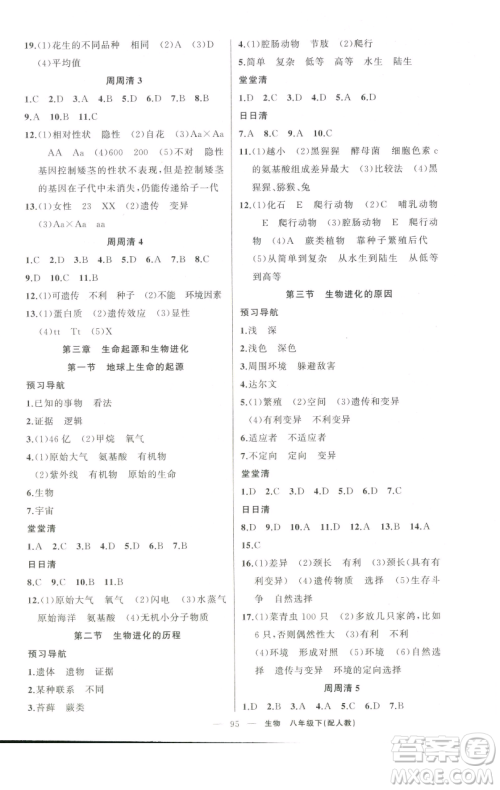 新疆青少年出版社2023四清导航八年级下册生物人教版参考答案