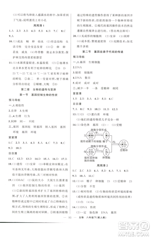 新疆青少年出版社2023四清导航八年级下册生物人教版参考答案