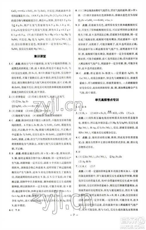 陕西人民教育出版社2023综合应用创新题典中点九年级化学下册人教版参考答案