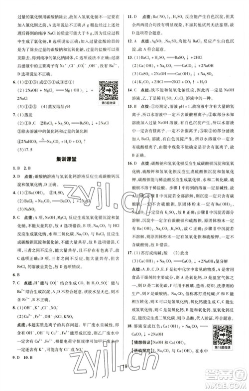 陕西人民教育出版社2023综合应用创新题典中点九年级化学下册人教版参考答案
