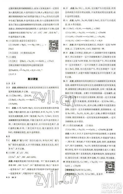 陕西人民教育出版社2023综合应用创新题典中点九年级化学下册人教版参考答案