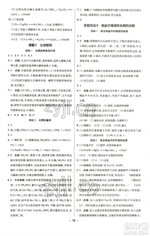 陕西人民教育出版社2023综合应用创新题典中点九年级化学下册人教版参考答案