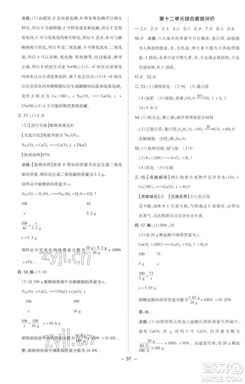 陕西人民教育出版社2023综合应用创新题典中点九年级化学下册人教版参考答案