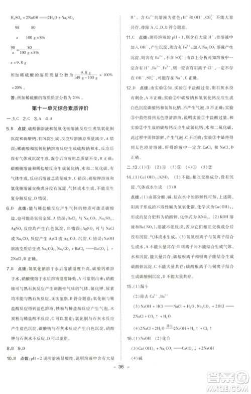 陕西人民教育出版社2023综合应用创新题典中点九年级化学下册人教版参考答案